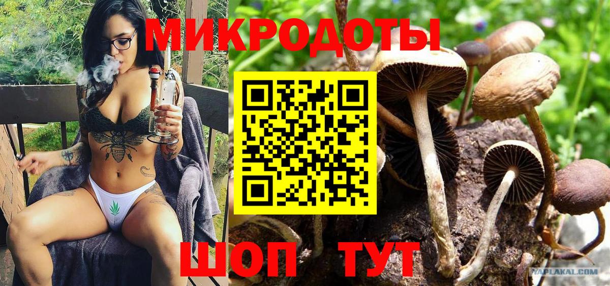 Псилоцибиновые грибы ЛСД Луховицы